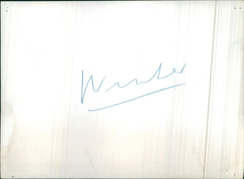 Wader - Vintage Photograph