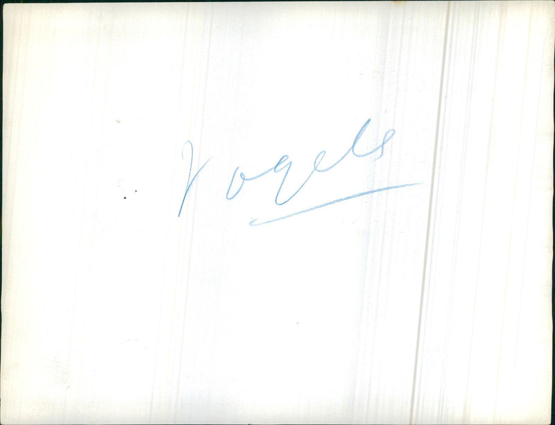 Canada Goose - Vintage Photograph