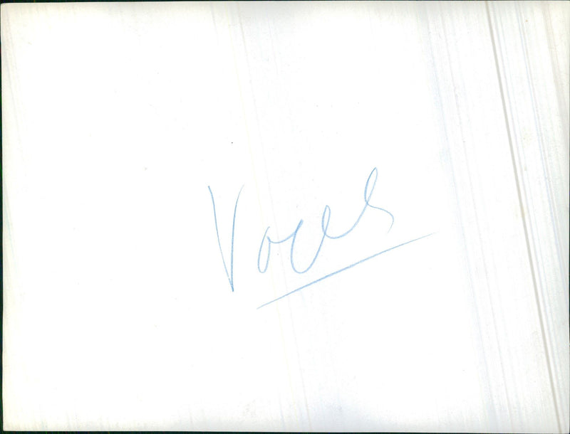 Wader - Vintage Photograph