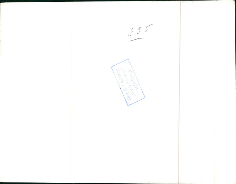 Penguins at a lake - Vintage Photograph