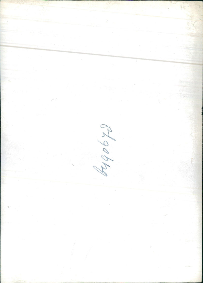 Baby Bear - Vintage Photograph