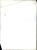 The Mute Swan - Vintage Photograph