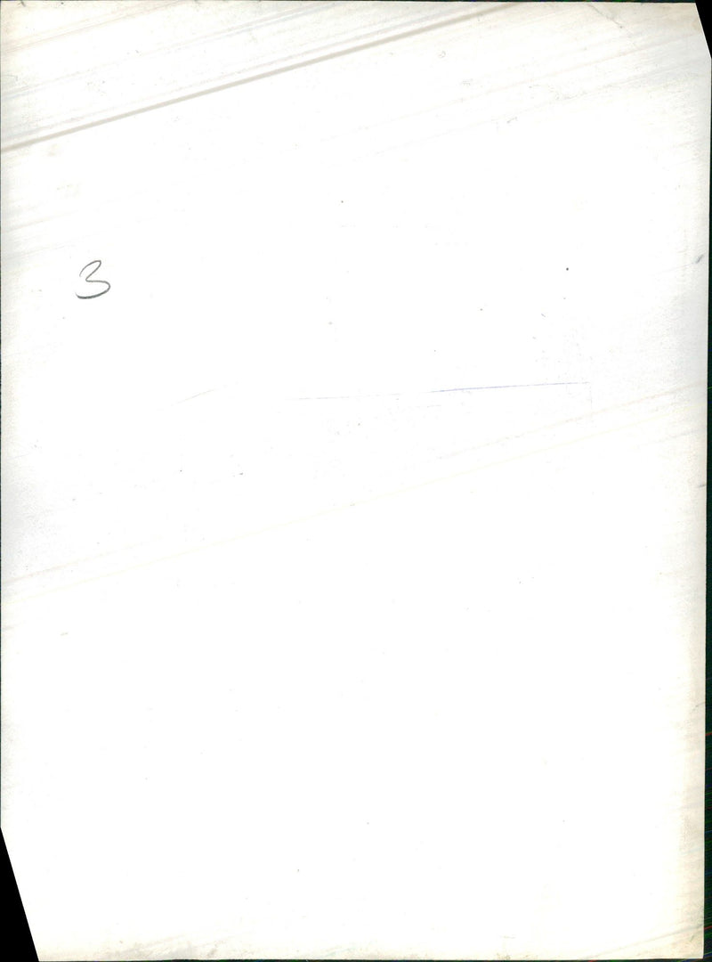 The Mute Swan - Vintage Photograph