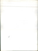 Mute swan in a lake - Vintage Photograph