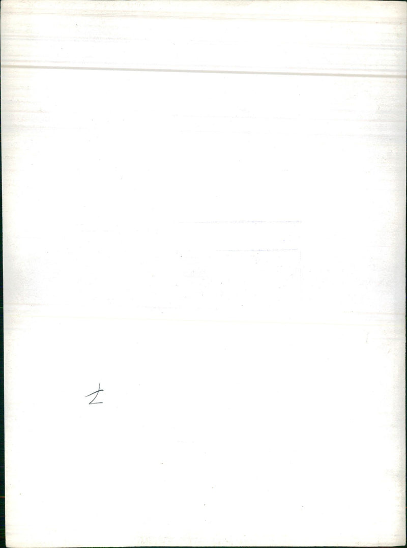 Mute swan in a lake - Vintage Photograph