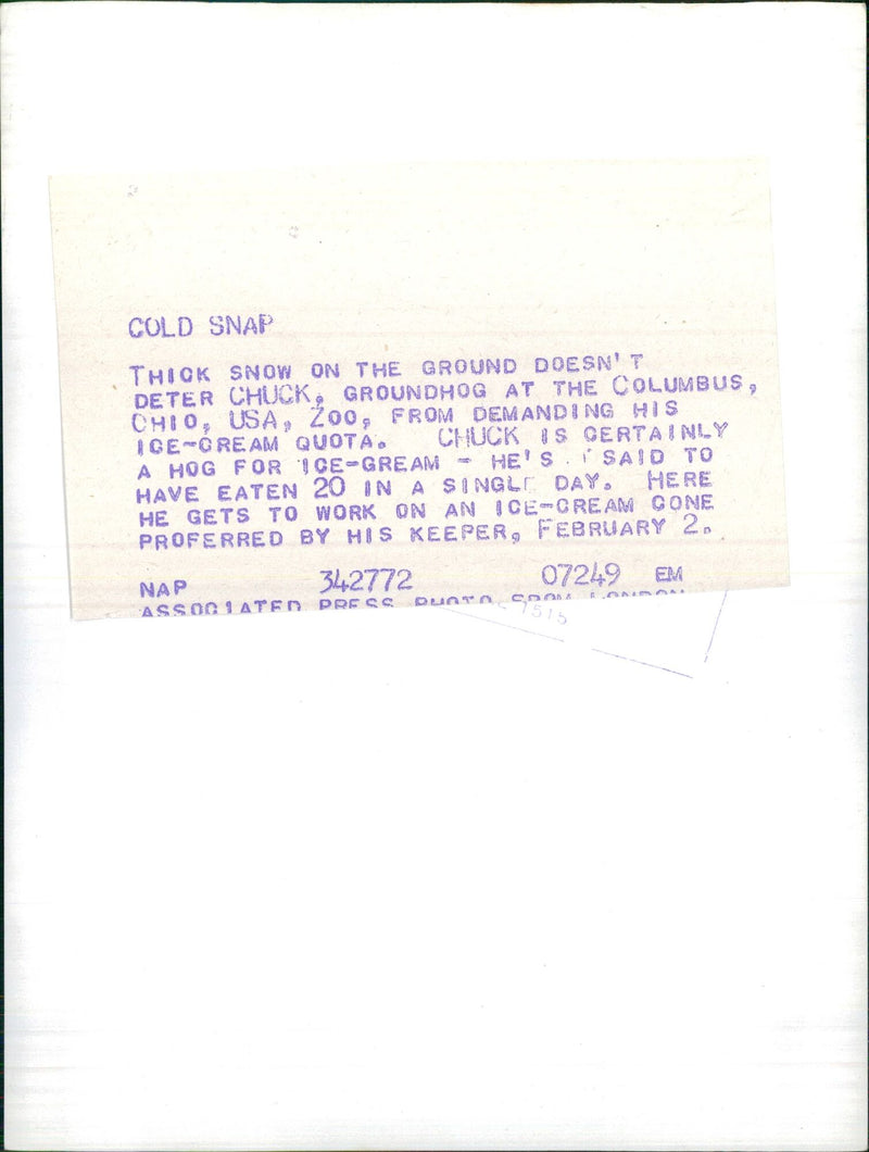 Cold snap - Vintage Photograph