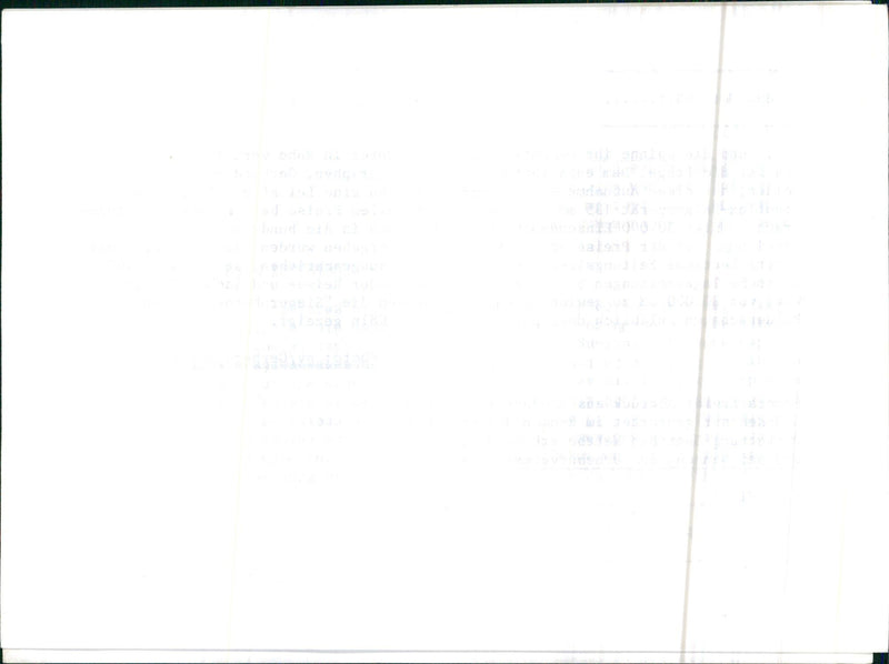 Spider web - Vintage Photograph