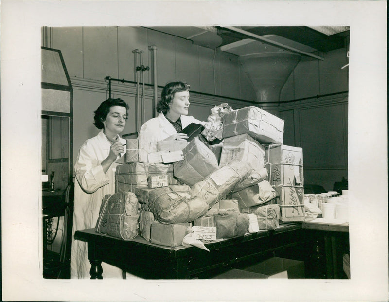 Laboratory - Vintage Photograph