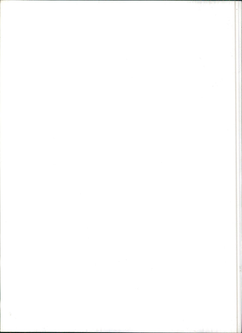 Model in Fashion evening dress - Vintage Photograph