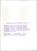 Princess Sibylla of Haga, Prince Carl-Gustaf and Princess Christina - Vintage Photograph