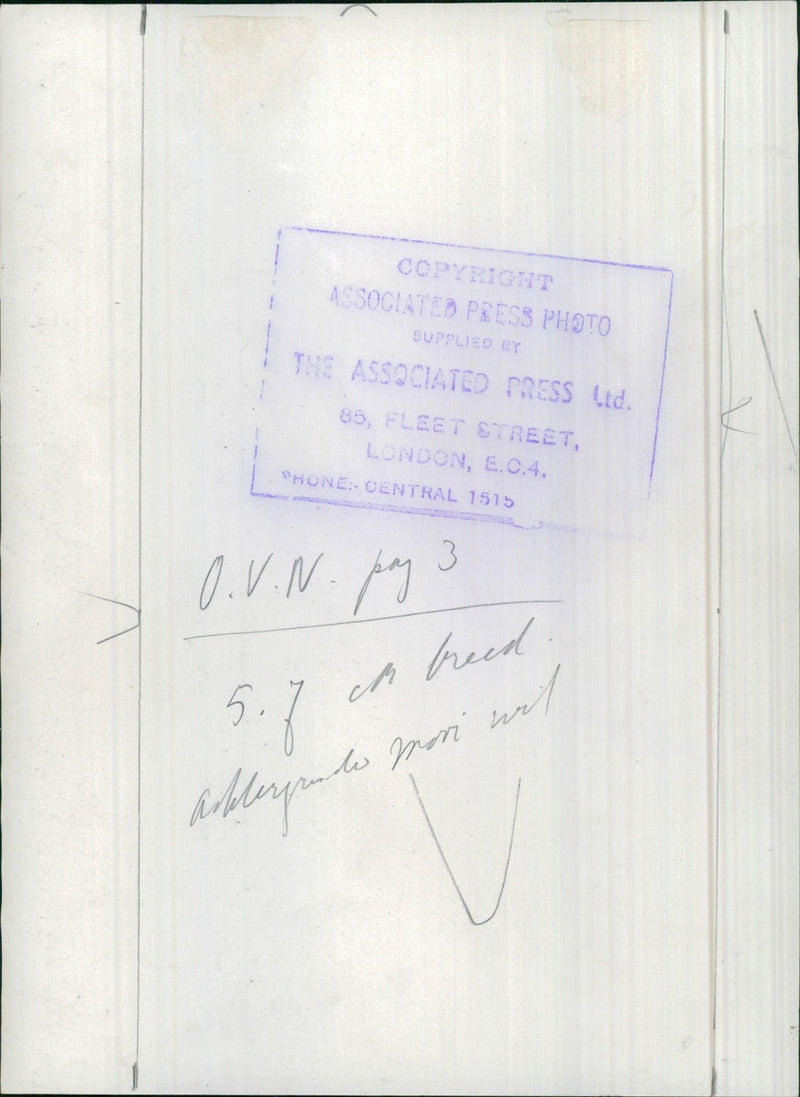 Signatures - Vintage Photograph