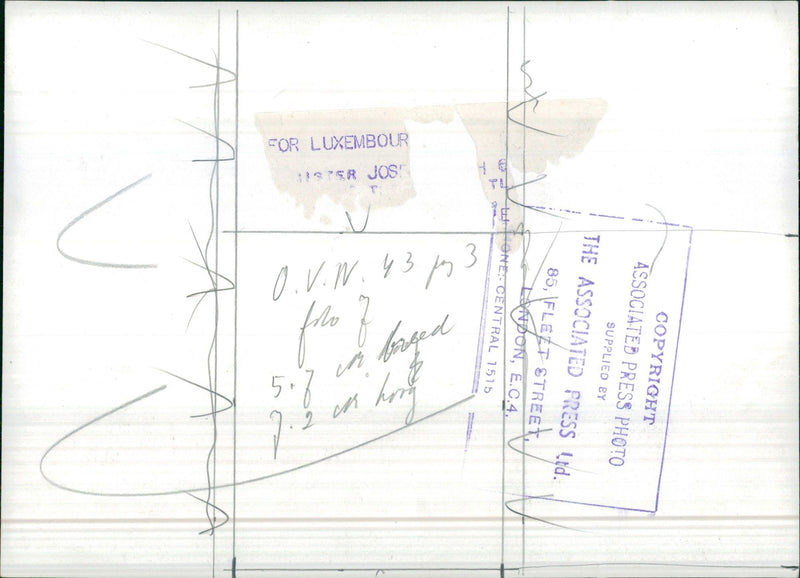 Signatures - Vintage Photograph