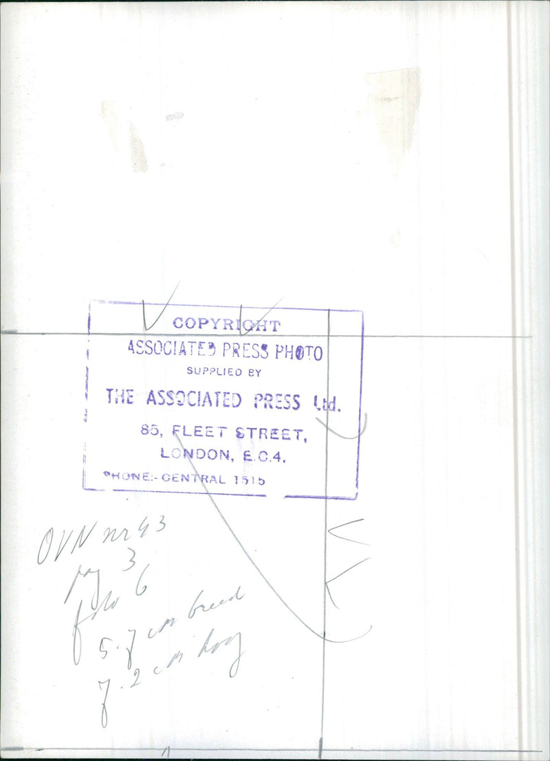 Signature - Vintage Photograph