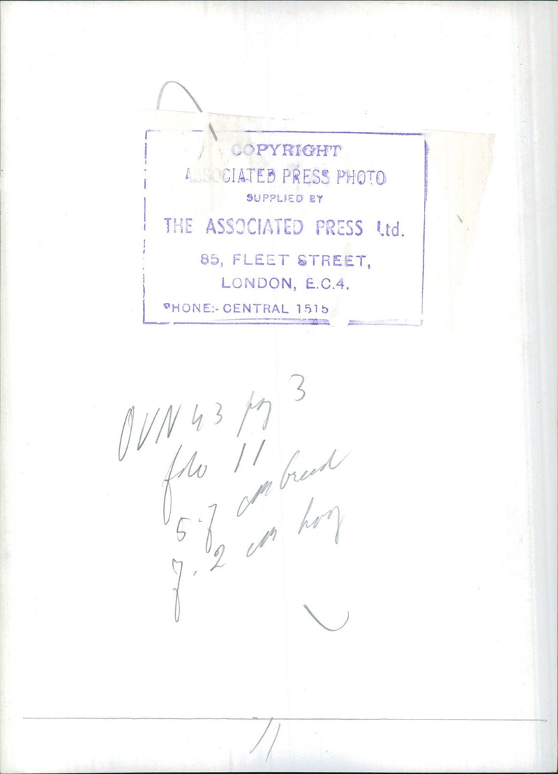 Signature - Vintage Photograph