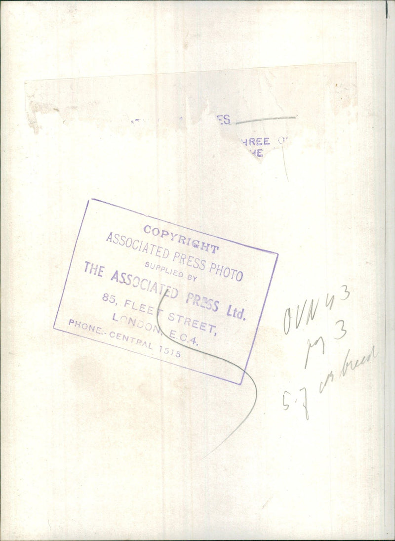 Signatures - Vintage Photograph