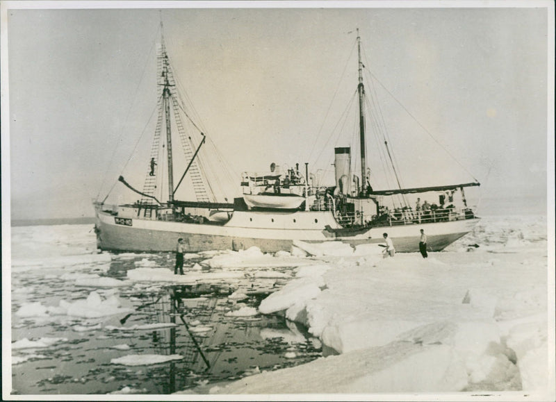 Hunting Ice Bears - Vintage Photograph