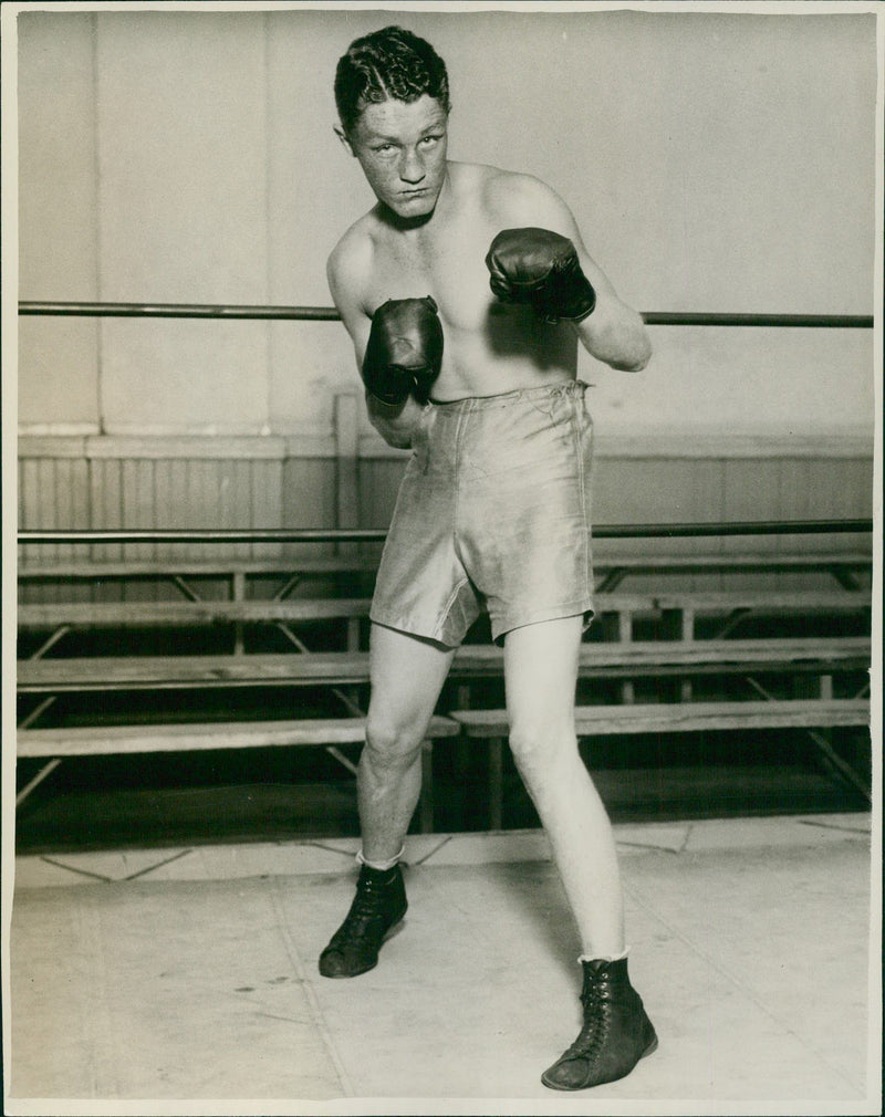 Boxer - Vintage Photograph