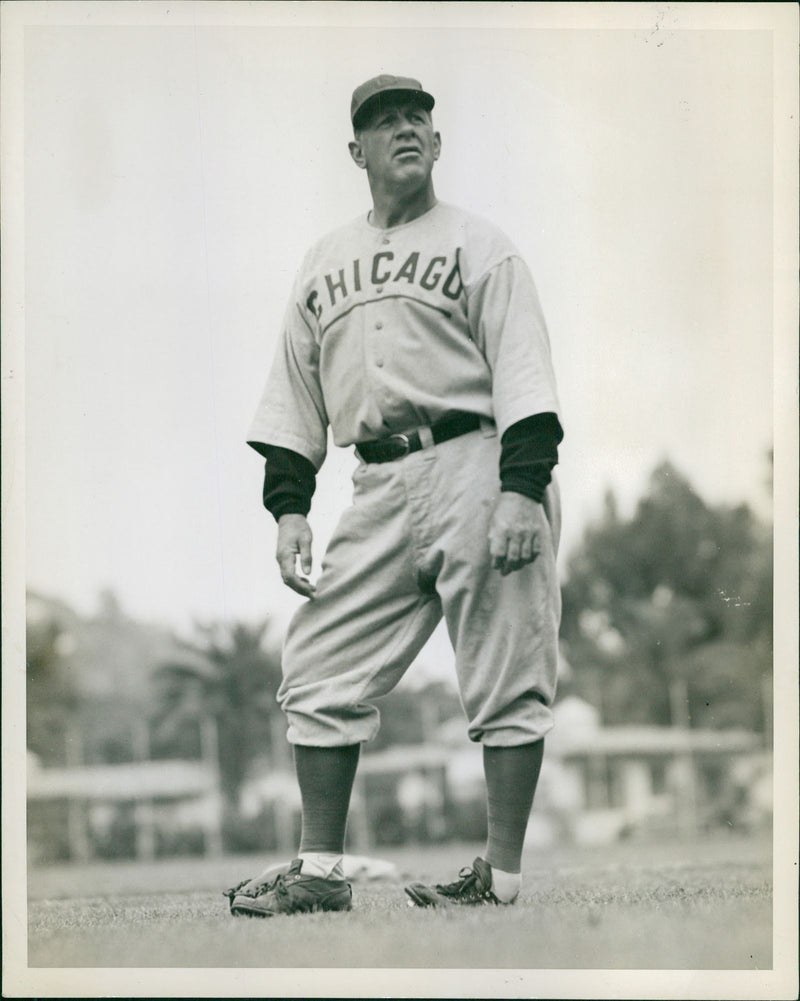 Chicago Cubs - Vintage Photograph