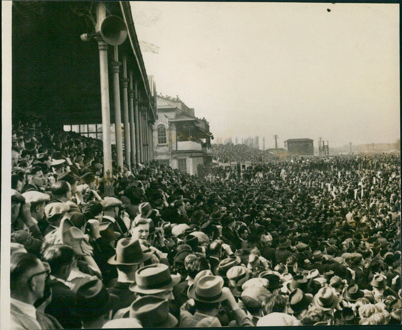 Crowds watching the game - Vintage Photograph