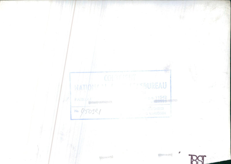 Engine-check of a  Rally car - Vintage Photograph