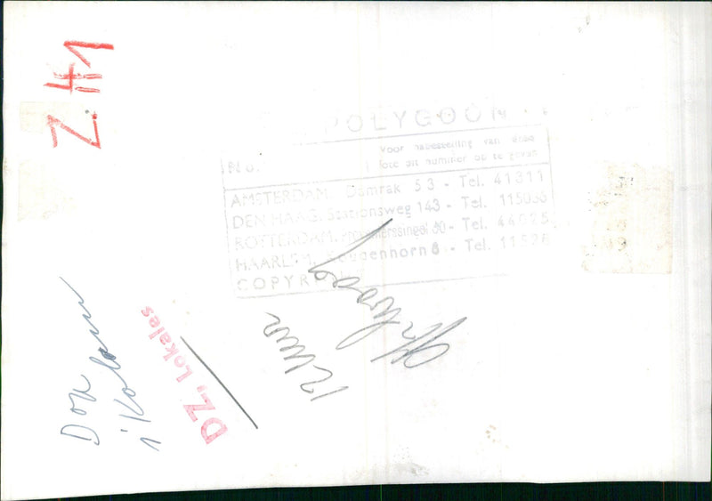 An Elephant strolling - Vintage Photograph