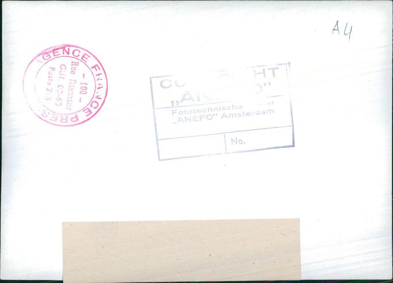 Models in fashion clothes - Vintage Photograph