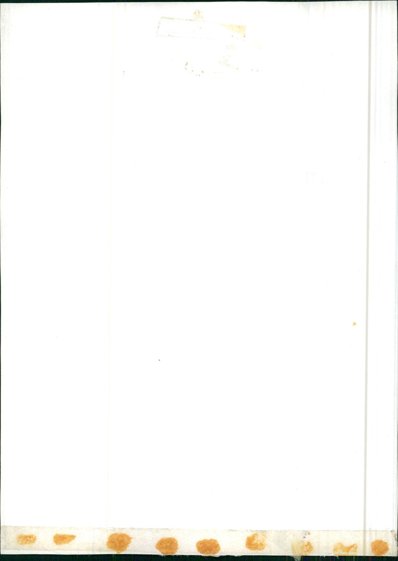 Skies placed in the snow - Vintage Photograph