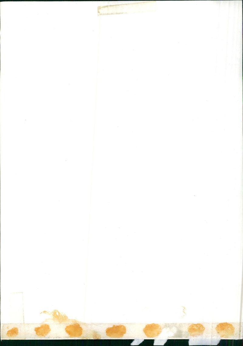 Stroll through the snow and trees - Vintage Photograph