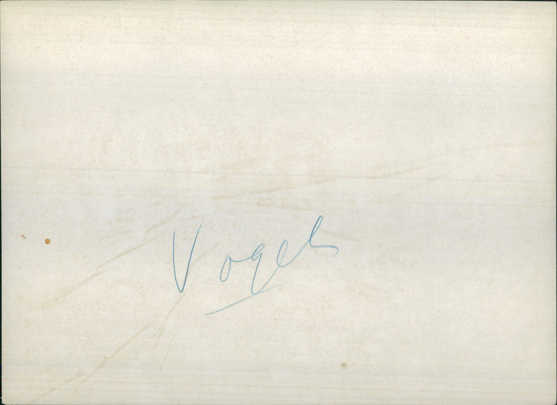 Ducks and families on frozen lake - Vintage Photograph