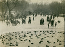Ducks and families on frozen lake - Vintage Photograph