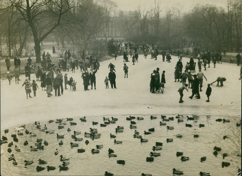 Ducks and families on frozen lake - Vintage Photograph