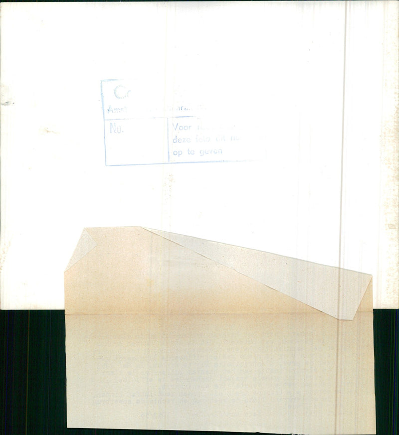 Train on the tracks - Vintage Photograph