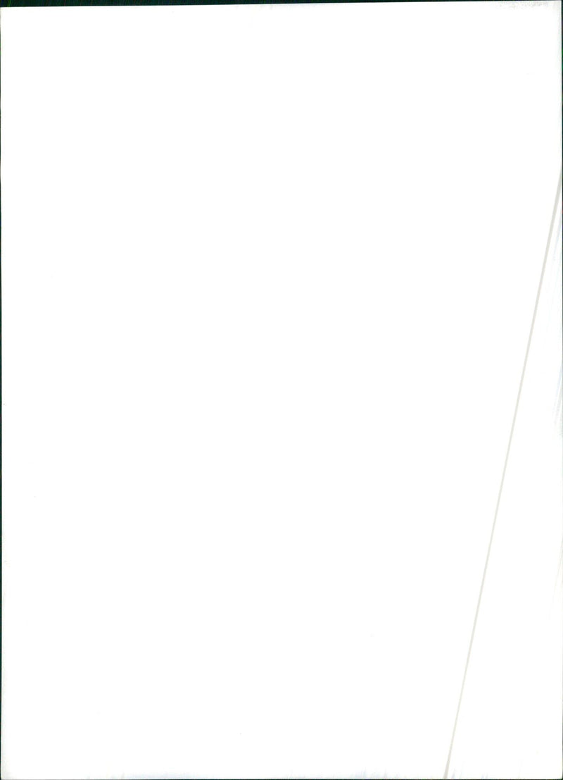 Reading the newspaper - Vintage Photograph