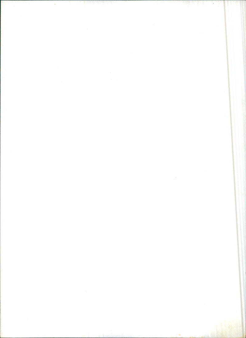 Petronella Elisabeth Herfst-Braams - Vintage Photograph