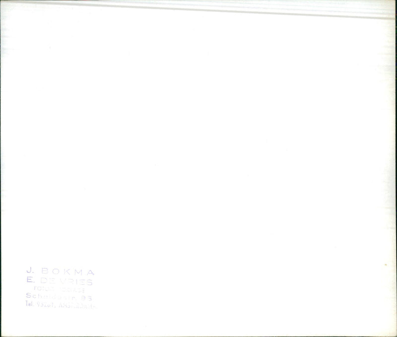 Family playing in the front yard - Vintage Photograph