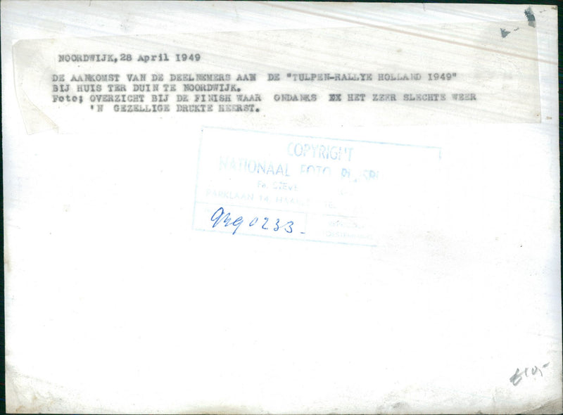 Tulip Rally in Holland 1949 - Vintage Photograph