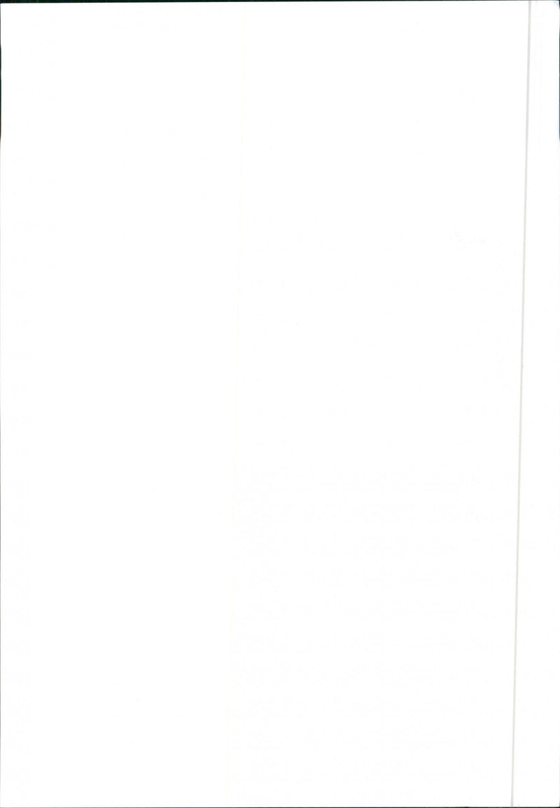 1984 Alfa Romeo Arna - Vintage Photograph