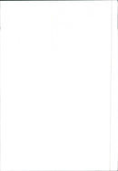 1984 Alfa Romeo Arna - Vintage Photograph