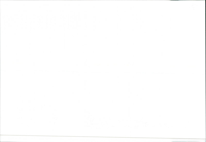 1984 Alfa Romeo Arna - Vintage Photograph