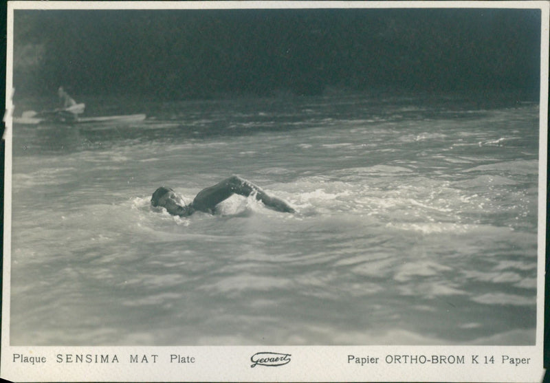 Breaststroke - Vintage Photograph