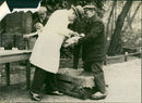 Animal  vaccine - Vintage Photograph