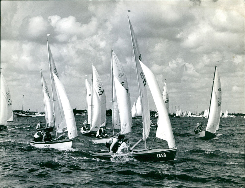 Sailboats - Vintage Photograph