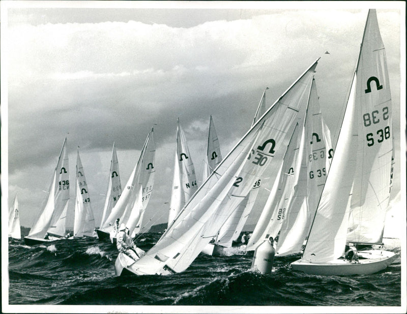 Sailboats - Vintage Photograph