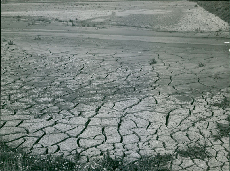 Drought - Vintage Photograph