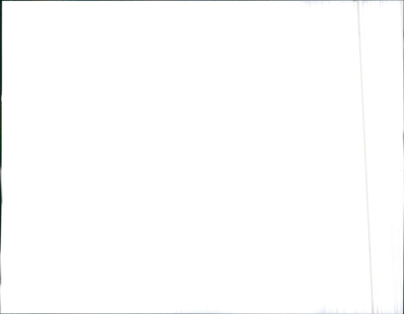 Rover 216 Cabriolet - Vintage Photograph