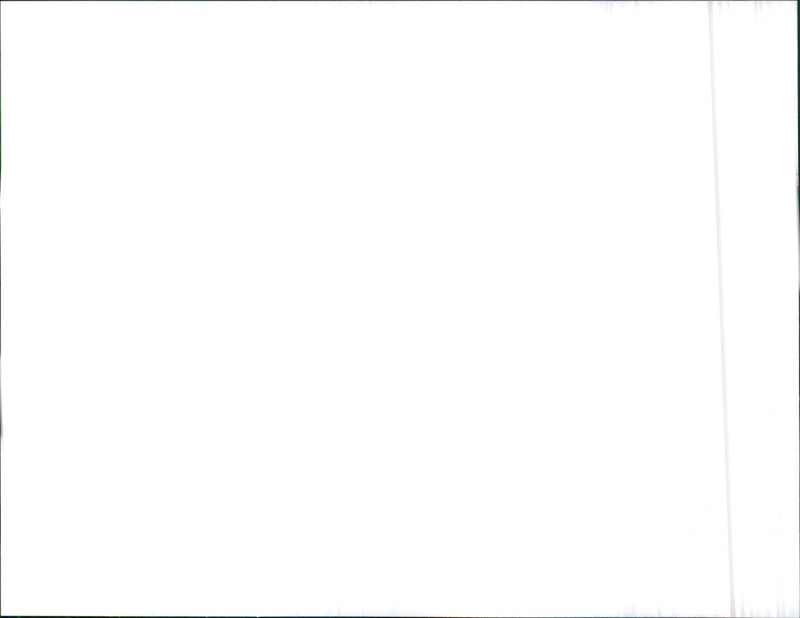 Aston Martin Shooting Brake - Vintage Photograph