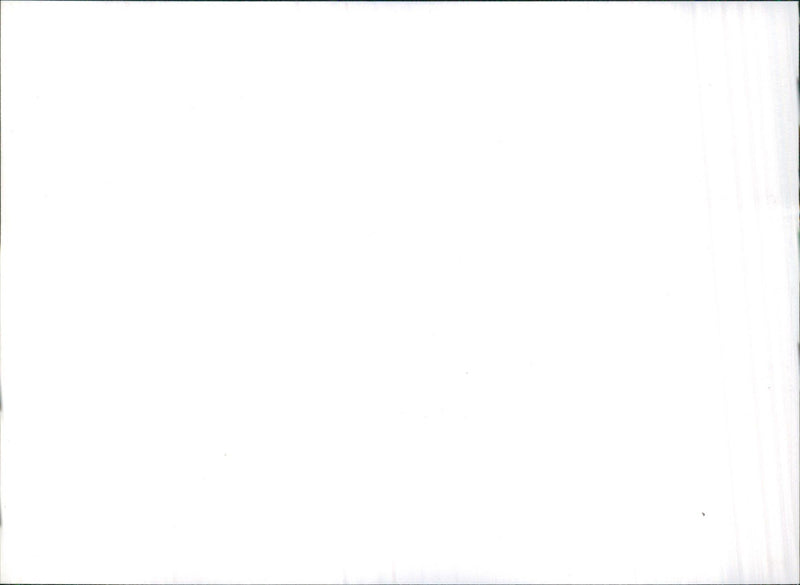 CITROEN ZX - Vintage Photograph