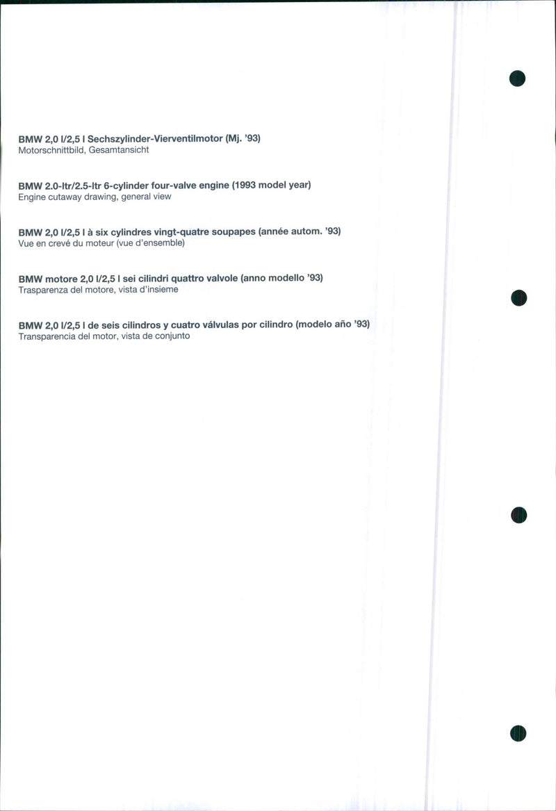 1993 BMW 2.0 litre/2.5 litre engine - Vintage Photograph