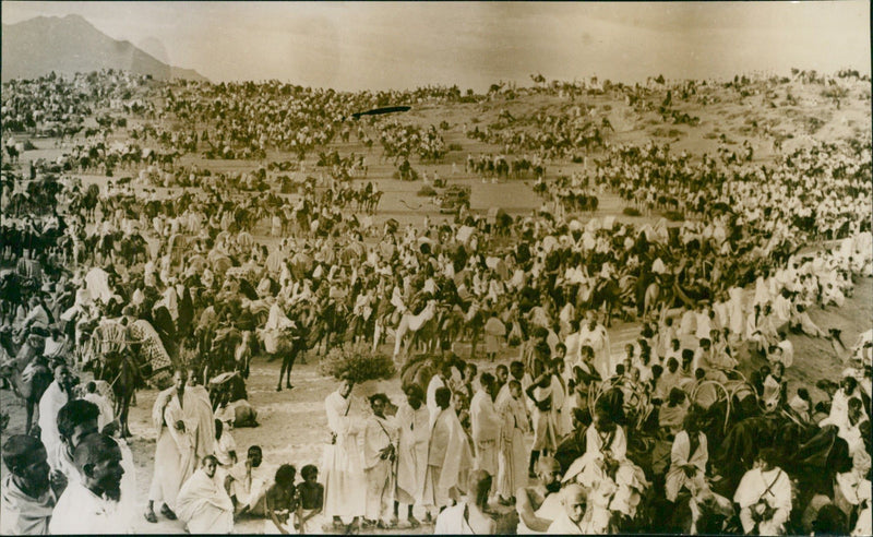 Large crowd with camels - Vintage Photograph