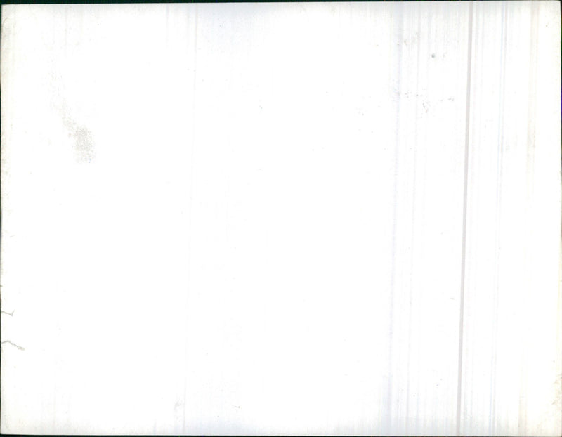 Concert - Vintage Photograph